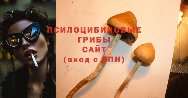 прущие крисы Бугульма