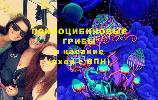 ПСИЛОЦИБИНОВЫЕ ГРИБЫ Зеленодольск