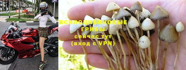 spice Бронницы