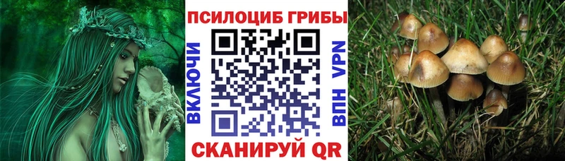 Псилоцибиновые грибы MAGIC MUSHROOMS  Завитинск 