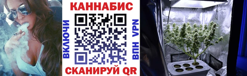 купить наркотик Завитинск darknet формула Бошки марихуана сатива